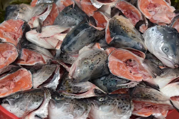 Рыбные Головы Супа Фона — стоковое фото