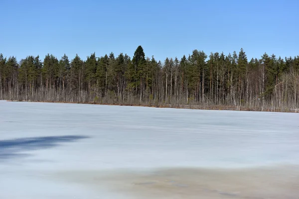 Lago na Carélia coberto de neve e gelo — Fotografia de Stock