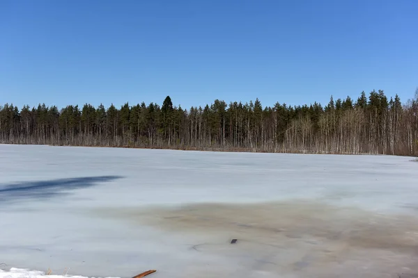 Jezioro w Karelii, pokryte śniegiem i lodem — Zdjęcie stockowe