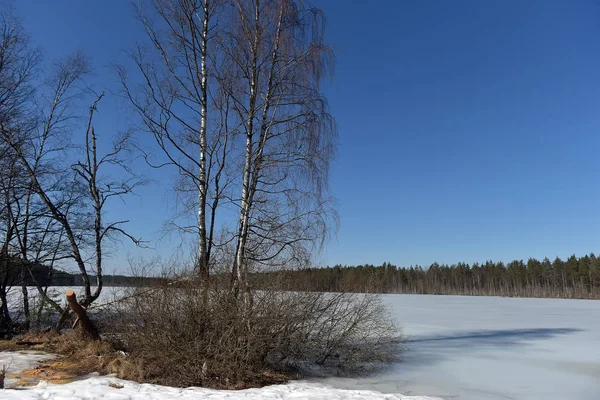 Danau di Karelia ditutupi dengan salju dan es — Stok Foto