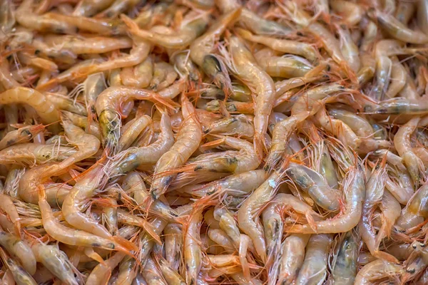 Креветки. Рыбный рынок . — стоковое фото