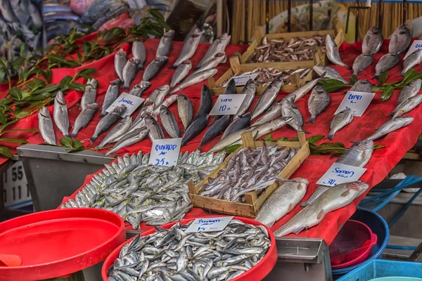 Törökország Istanbul 2018 Különféle Hal Számláló Hal Bolt Isztambul — Stock Fotó