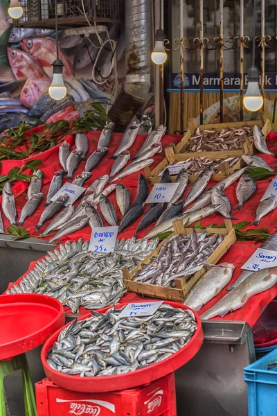 Divers poissons sur le comptoir poissonnerie à Istanbul . — Photo