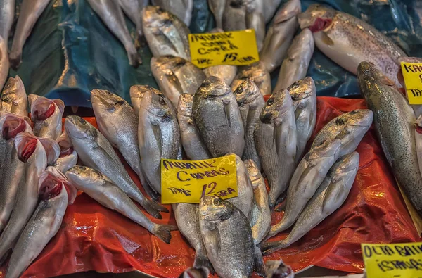 Turquía Estambul 2018 Varios Peces Mostrador Tienda Pescado Estambul — Foto de Stock