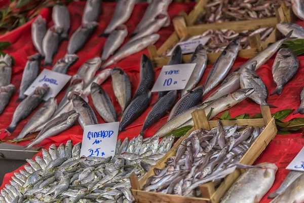 Τουρκία Κωνσταντινούπολη 2018 Διάφορα Ψάρια Για Μετρητή Ψάρια Κατάστημα Για — Φωτογραφία Αρχείου