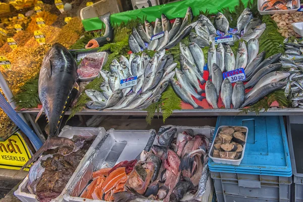 Különböző halak a pulton halbolt Isztambulban. — Stock Fotó