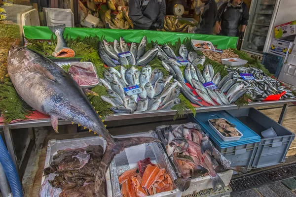 Különböző halak a pulton halbolt Isztambulban. — Stock Fotó