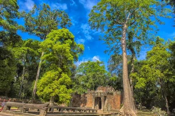 Siem Reap Kamboçya 2017 Prohm Khmer Tapınak Kompleksi Asya Parçası — Stok fotoğraf