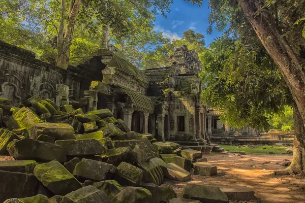 Siem Reap Cambodia 2017 Prohm Part Khmer Temple Complex Asia — Stock Photo, Image