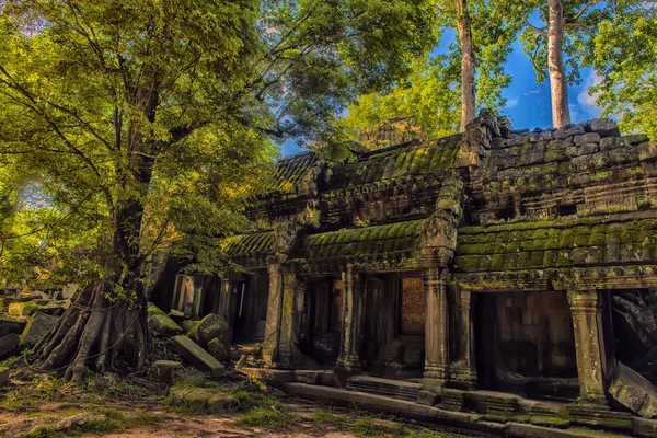 Ta Prohm, część Khmer świątyni złożonych, Asia. Siem Reap, Cambodi — Zdjęcie stockowe