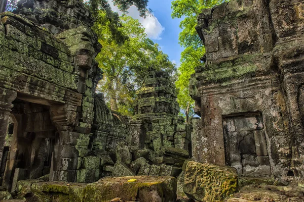 Ta Prohm, součástí khmerského chrámového komplexu, Asie. Siem Reap, Cambodi — Stock fotografie