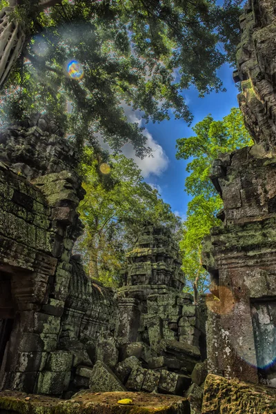 Ta Prohm, onderdeel van Khmer tempel complex, Asia. Siem Reap, Cambodia — Stockfoto