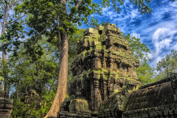 Ta Prohm, onderdeel van Khmer tempel complex, Asia. Siem Reap, Cambodia — Stockfoto