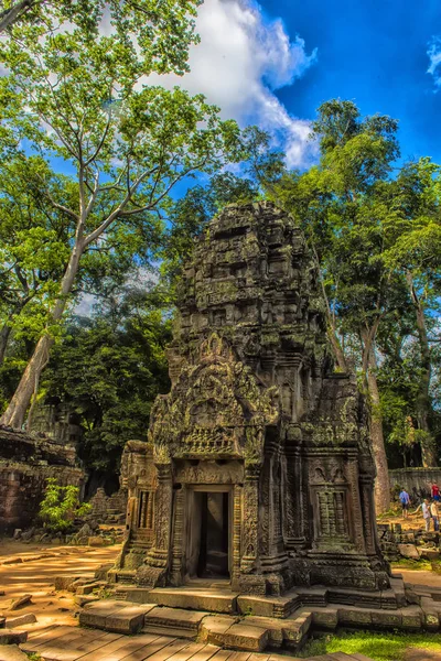 Ta Prohm, parte del complejo del templo Khmer, Asia. Siem Reap, Camboya — Foto de Stock