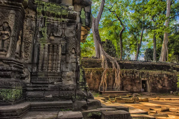 Ta Prohm, część Khmer świątyni złożonych, Asia. Siem Reap, Cambodi — Zdjęcie stockowe