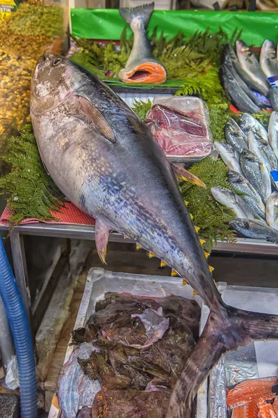 Tuńczyk na ladzie na targu rybnym — Zdjęcie stockowe