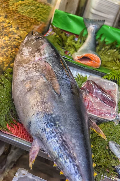 Tonfisk på räknaren i fiskmarknaden — Stockfoto