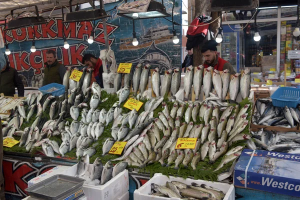 이스탄불의 어시장에서 볼 수있는 다양 한 물고기 — 스톡 사진