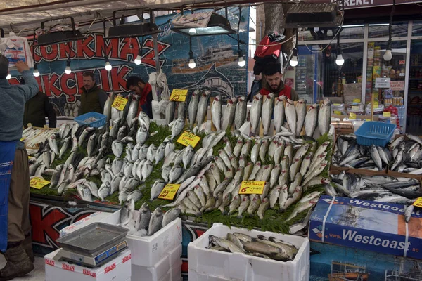 Halfajták az isztambuli halpiacon — Stock Fotó