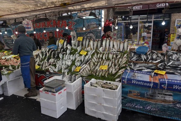 Różnorodność ryb na targu rybnym w Stambule — Zdjęcie stockowe