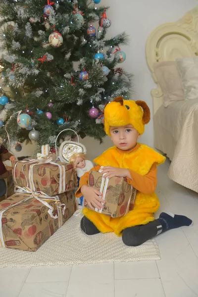クリスマスに犬の衣装を着た男の子 — ストック写真
