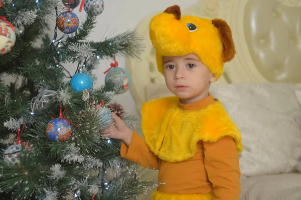 Menino em traje de cachorro no Natal — Fotografia de Stock