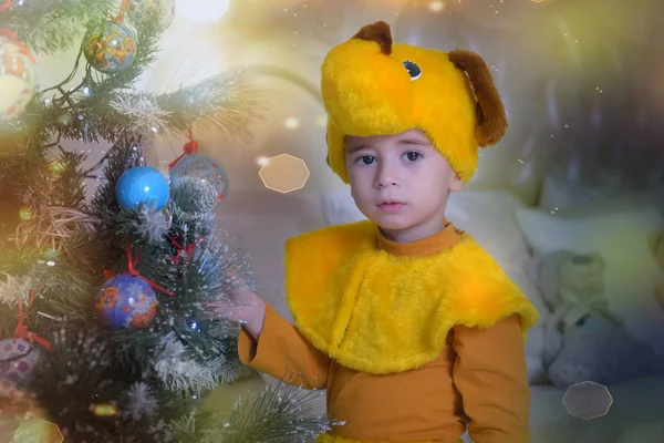 クリスマスに犬の衣装を着た男の子 — ストック写真