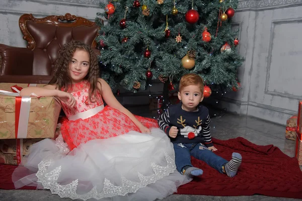 Menina em vestido elegante perto da árvore de Natal com seu irmão — Fotografia de Stock