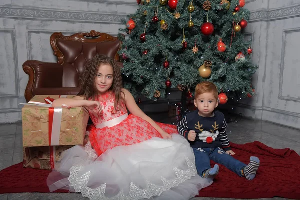 Chica en vestido elegante cerca del árbol de Navidad con su hermano — Foto de Stock