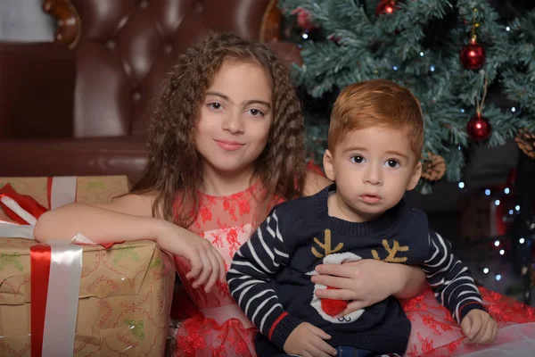 Menina em vestido elegante perto da árvore de Natal com seu irmão — Fotografia de Stock