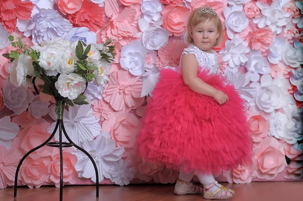 Pequena menina gordinha em elegante branco exuberante com vestido rosa — Fotografia de Stock