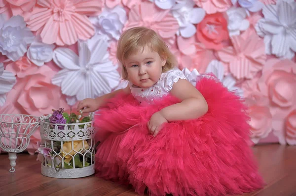 小さなぽっちゃり女の子でエレガントな緑豊かな白でピンクのドレス — ストック写真