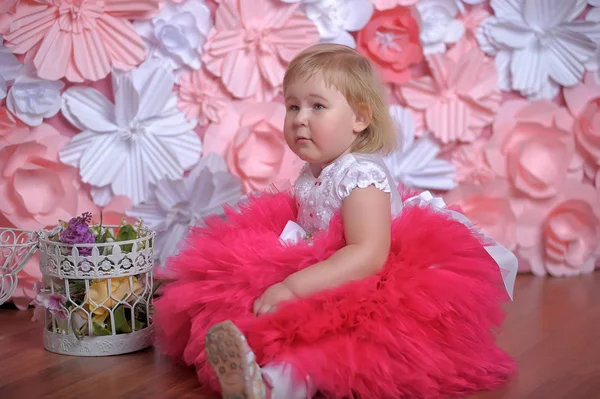 Pequena menina gordinha em elegante branco exuberante com vestido rosa — Fotografia de Stock