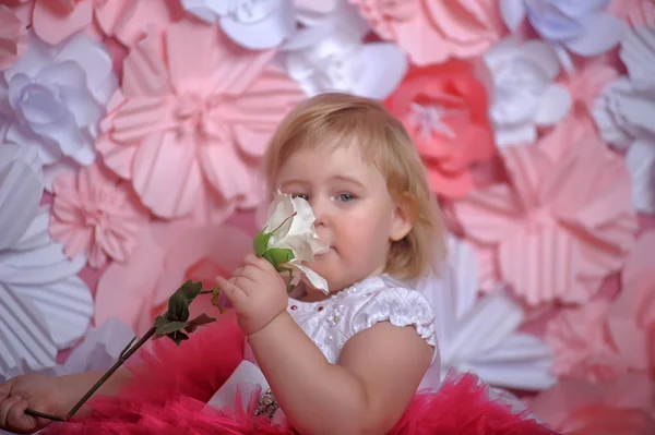 小さなぽっちゃり女の子でエレガントな緑豊かな白でピンクのドレス — ストック写真