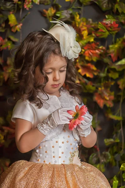 La principessa. Intenzione, risposta . — Foto Stock