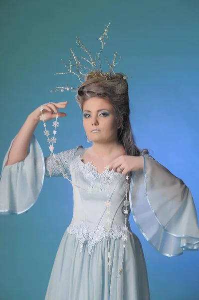 Princesa reina de la nieve. hermoso peinado nevado . — Foto de Stock