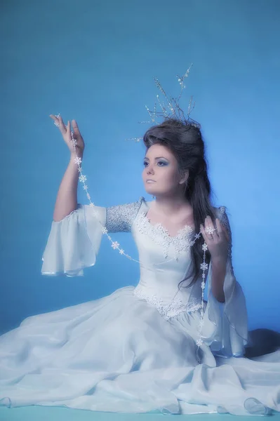 Schneekönigin Prinzessin. schöne schneebedeckte Frisur. — Stockfoto