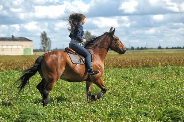 Girl in jeans rides a horse in a field in summer — Stock Photo, Image