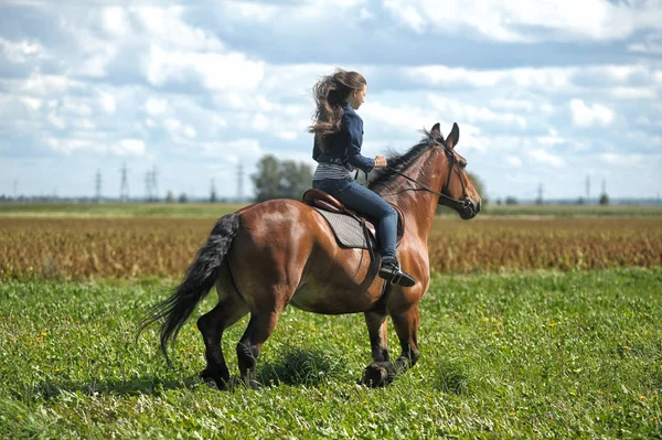 Dívka v džínách jezdí na koni na poli v létě — Stock fotografie