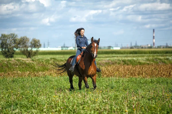 Κορίτσι με τζιν καβαλάει άλογο σε χωράφι το καλοκαίρι. — Φωτογραφία Αρχείου