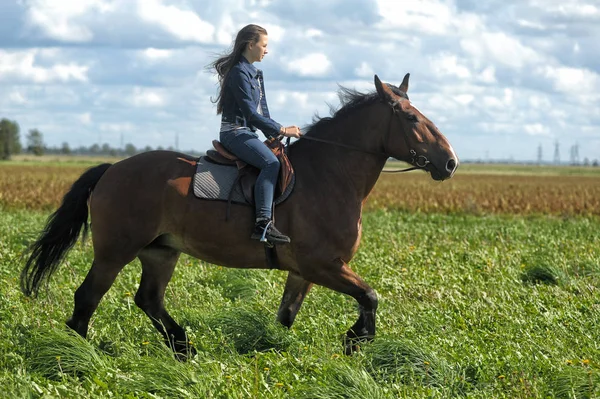 Girl in jeans rides a horse in a field in summer — Stock Photo, Image