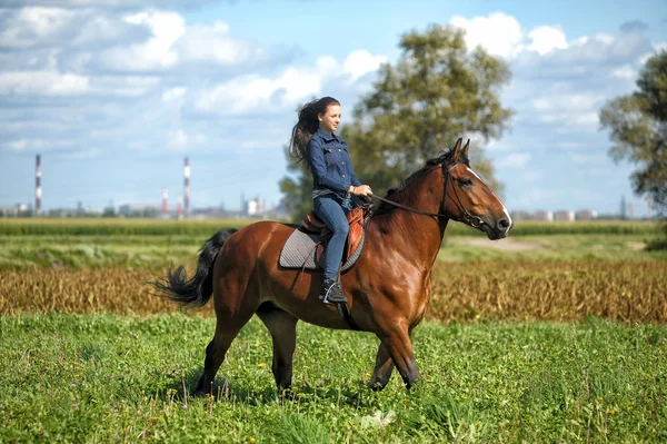 夏天穿牛仔裤的女孩在田野里骑马 — 图库照片