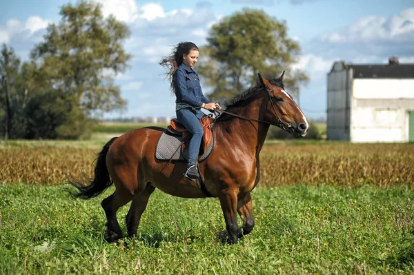 Fille en jeans monte un cheval dans un champ en été — Photo