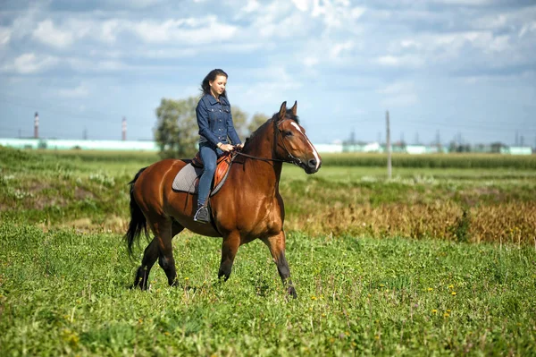 Dziewczyna w dżinsach jeździ na koniu w polu latem — Zdjęcie stockowe