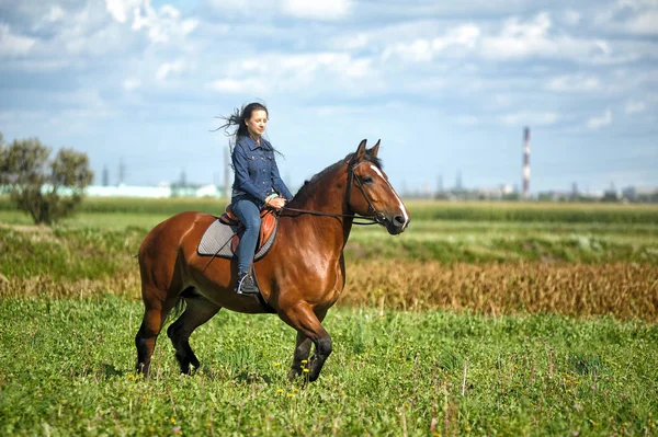 Dívka v džínách jezdí na koni na poli v létě — Stock fotografie