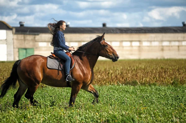 Meisje in jeans rijdt een paard in een veld in de zomer — Stockfoto