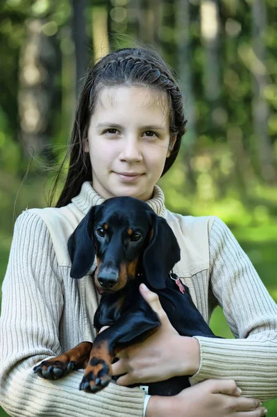 Portrait of a girl with a dachshund — Stock Photo, Image