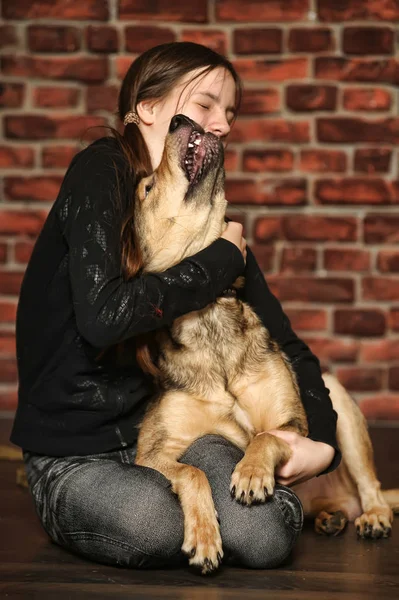 Ragazza con un cane felice, su un — Foto Stock