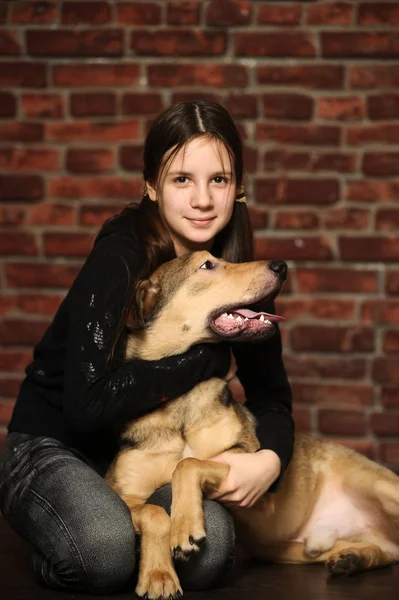 Mädchen mit einem glücklichen Hund, auf einem — Stockfoto