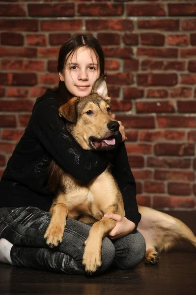 Girl with a happy dog, on a — Stock Photo, Image